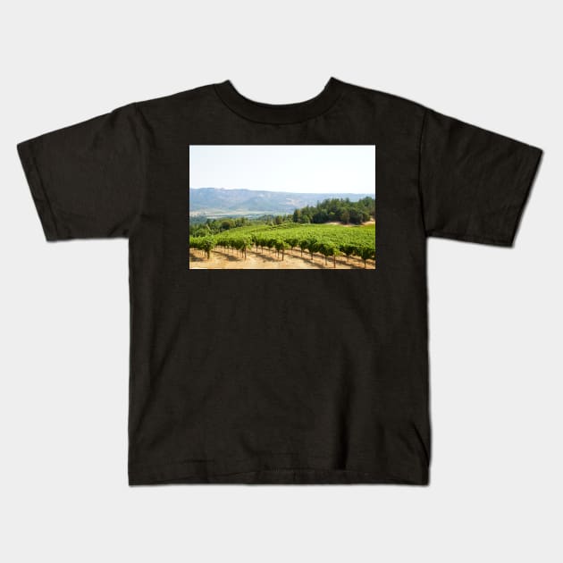 Vineyard views from Spring Mountain, Napa Valley Kids T-Shirt by sanityfound